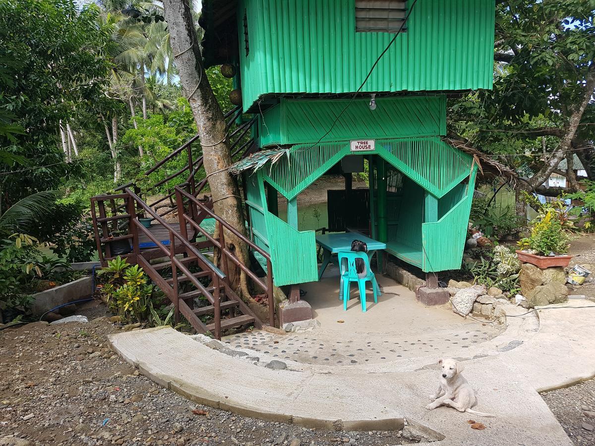 Nature Green Forest Resort Baler Exterior photo